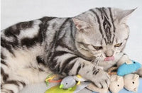 6pcs Catnip Mouse